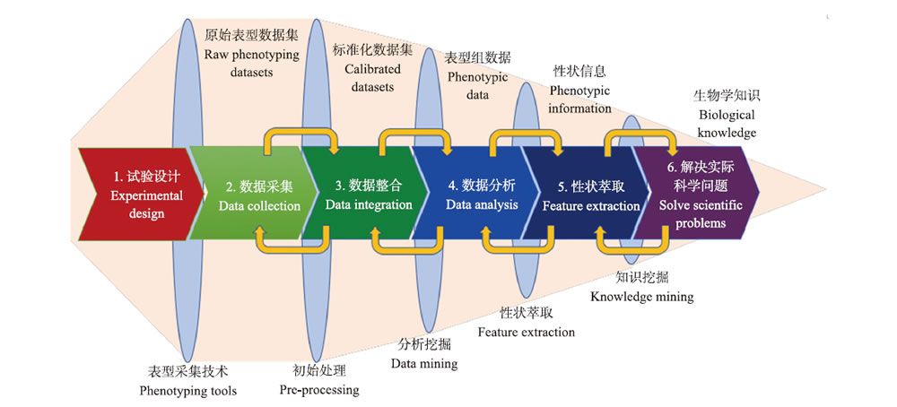 图1180716.jpg