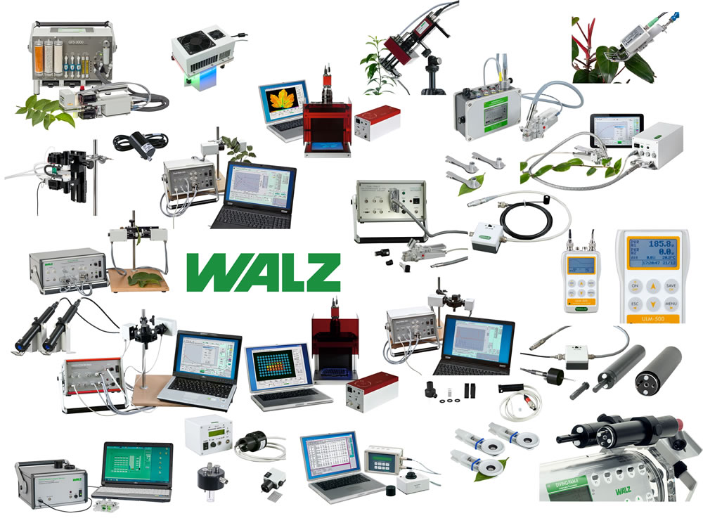 WALZ产品图片1000.jpg