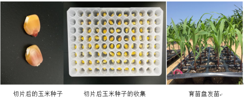 5f17a12280fc0.png